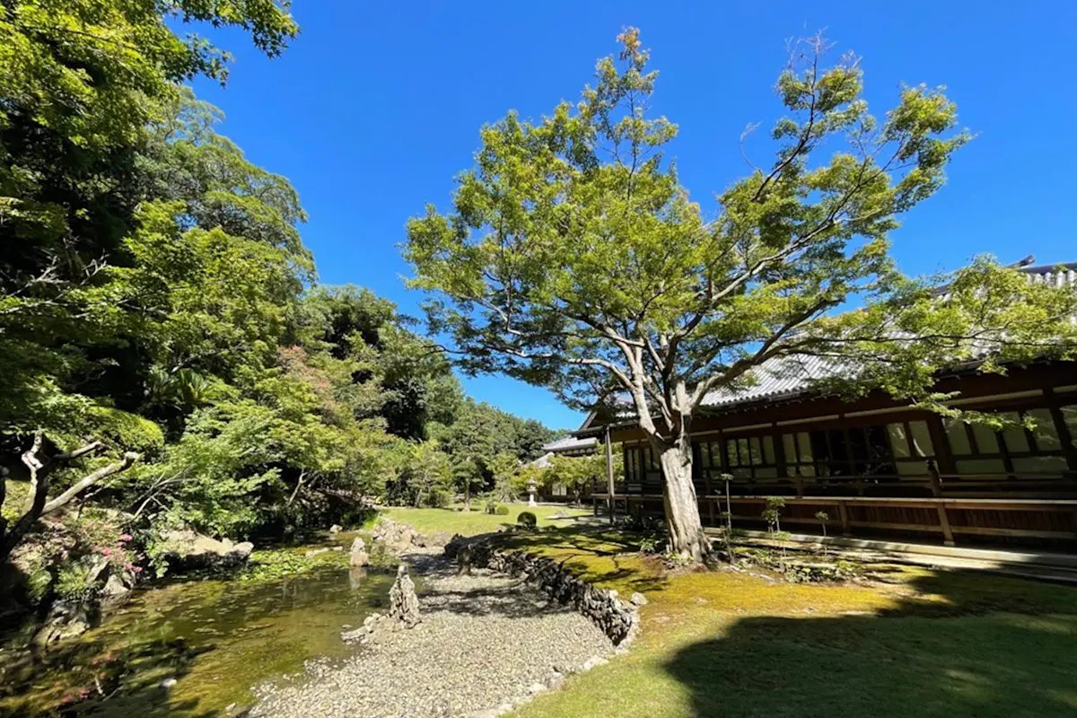 🏯 송강산 종린사 (쇼코잔 소린지) 이미지 1